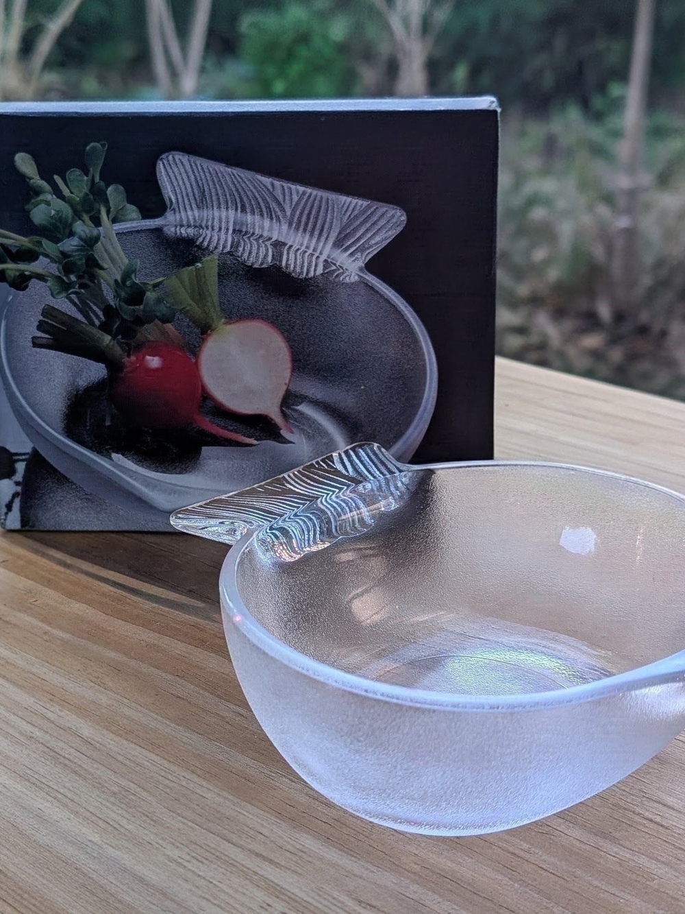 Studio Nova Clear Textured Glass Bowl with Leaf Accent